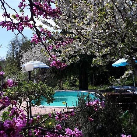 Il Ciliegio Del Pellegrino Apartment Gubbio Bagian luar foto