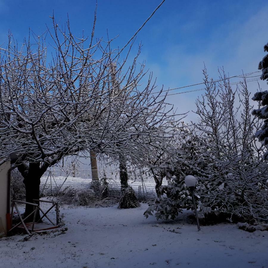 Il Ciliegio Del Pellegrino Apartment Gubbio Bagian luar foto